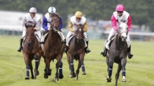 Como Apostar em Corrida de Cavalos Online