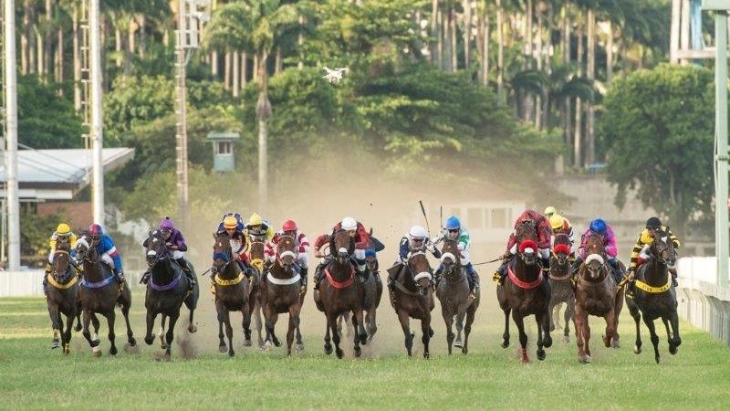 Melhores Casas de Apostas para Corrida de Cavalos